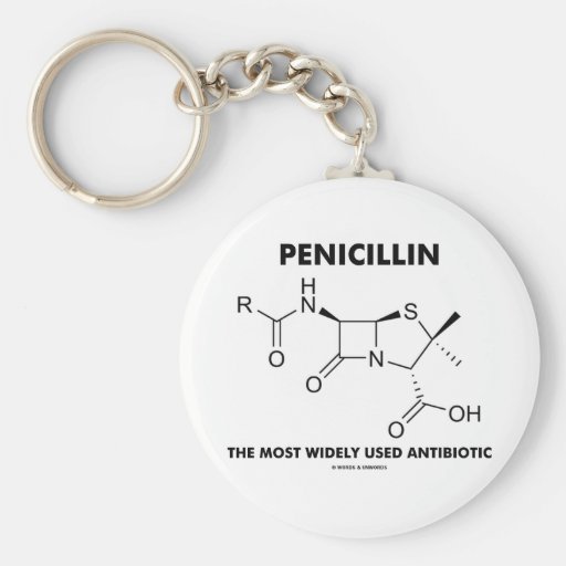 Penicillin Most Widely Used Antibiotic (Chemistry) Keychains