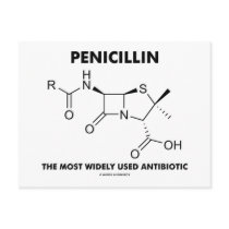 Penicillin Most Widely Used Antibiotic (Chemistry)