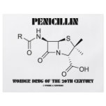 Penicillin Wonder Drug Of The 20th Century Full Color Flyer
