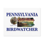 Pennsylvania Birdwatcher postcards