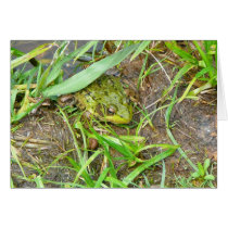 Pennsylvania Frog Card