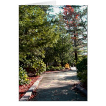 Pennsylvania Grand Canyon Cards