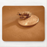 Penny Toad mousepads