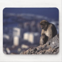 Pensive Monkey in Gibraltar Mousepads