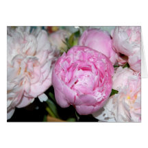 Peonies Cards