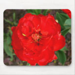 Peony-blooming Tulip Mouse Mat