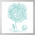 Peony Blue Green posters