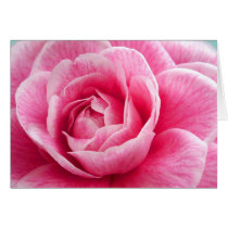 Peony Card