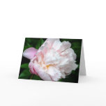 Peony cards