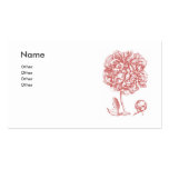Peony Flower business cards