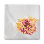 Peony magnets