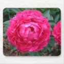 Peony Mousepad