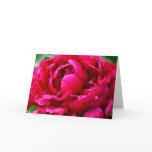 Peony Notecard