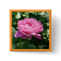 "Peony Pink Rose" Pin