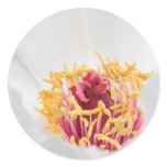 Peony stickers
