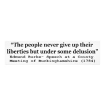 People Never Give Up Their Liberties Edmund Burke Photo Art