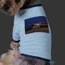 people-on-beach pet clothing