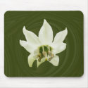 Pepper flower abstract ~ mousepad