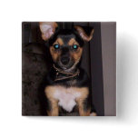 Pepper the Dog At Attention Button