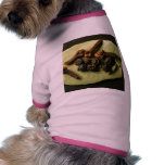 Peppercorns And Cloves And A Bed Of Bay Leaf pet clothing