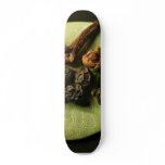 Peppercorns And Cloves And A Bed Of Bay Leaf skateboards
