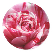Peppermint Rose Stickers