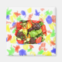 Peppers, hot and spicy photograph magnets