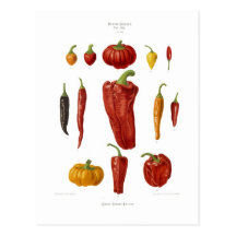 Peppers Postcard