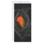 Peppers rack cards