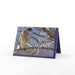 Perched Hawk-customize any ocassion Cards