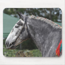 Percheron draught   horse mare mouse pad