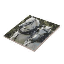 Percheron Team Ceramic Tiles