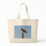 Perching Raptor Bag
