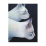 Percival & Lancelot Postcard