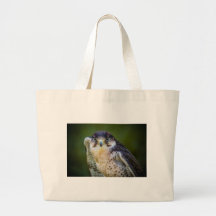 Peregrine Falcon Bags