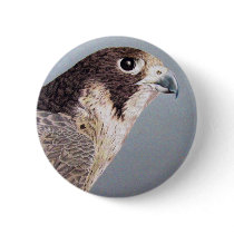Peregrine Falcon Button