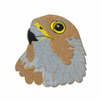 Peregrine Falcon