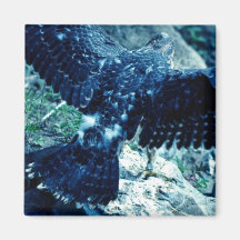 Peregrine Falcon Fridge Magnet