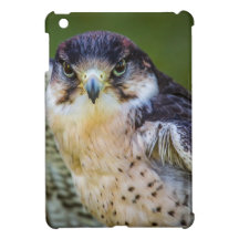 Peregrine Falcon iPad Mini Cover