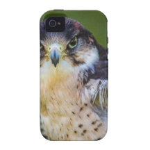 Peregrine Falcon iPhone 4/4S Case