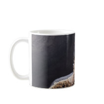 Peregrine Falcon Mug