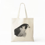 Peregrine Falcon-Pencil bags