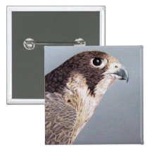 Peregrine Falcon Pin