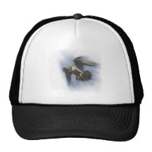 Peregrine in Flight Trucker Hats