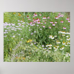 Perennial Garden posters