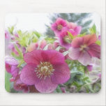 Perennial Plants - Purple Hellebore mousepads