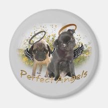 Perfect Angel Pugs Fridge Magnet