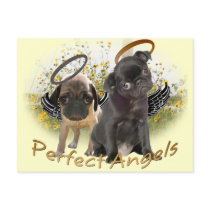 Perfect Angel Pugs