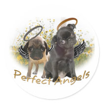 Perfect Angel Pugs