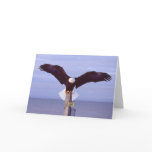 Perfect Landing Greeting Card